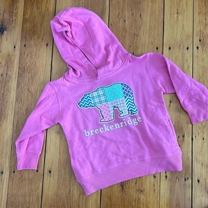 Breckenridge kid's hoodie